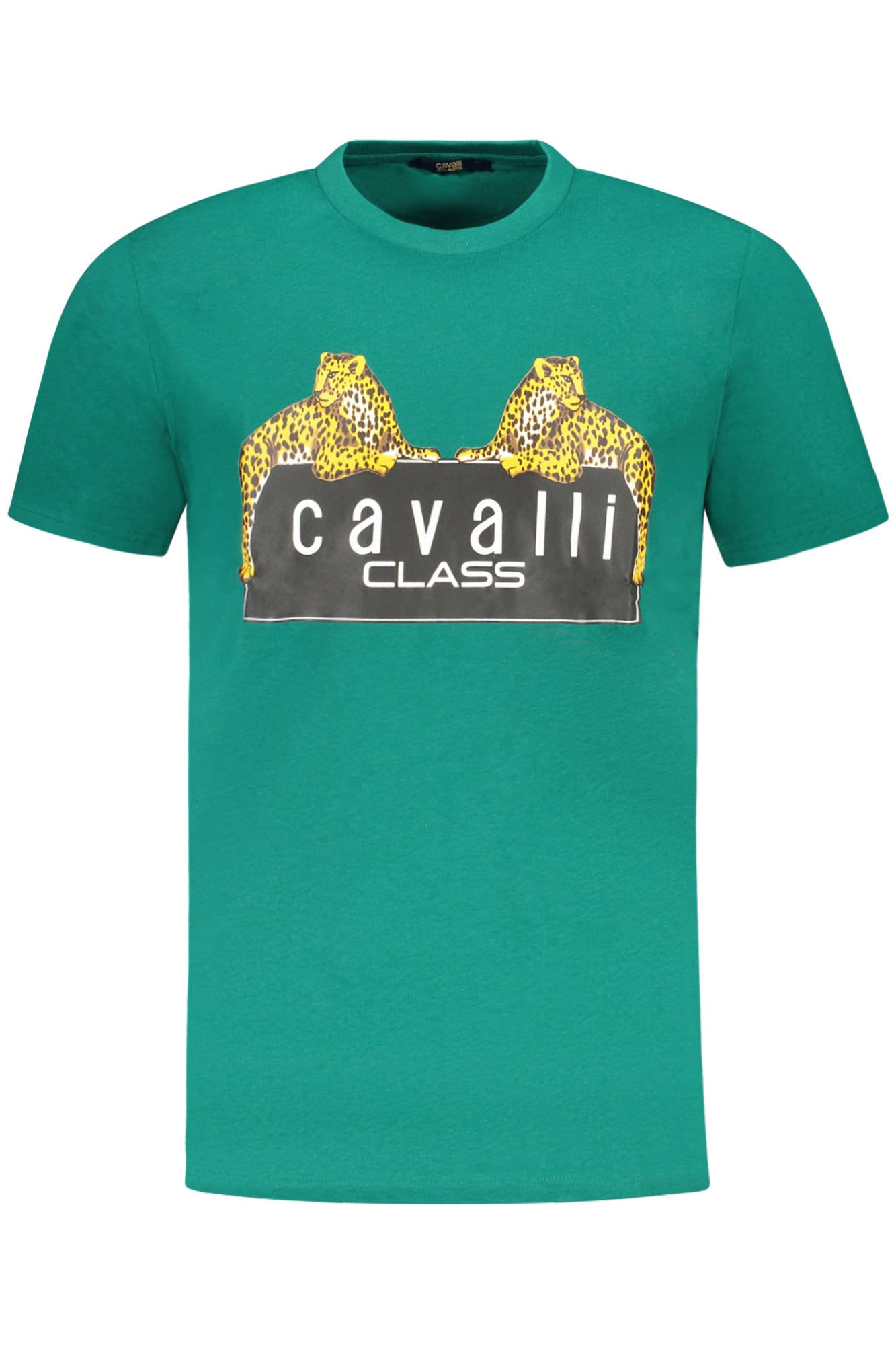 CAVALLI CLASS T-SHIRT MANICHE CORTE UOMO VERDE