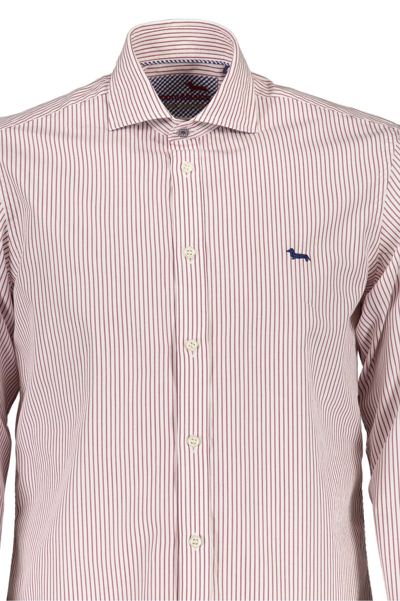 HARMONT & BLAINE CAMICIA MANICHE LUNGHE UOMO VIOLA